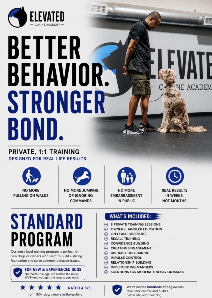 dog training bakersfield